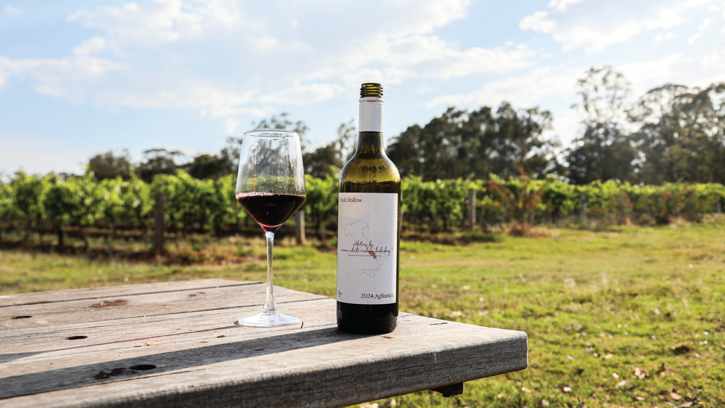 Duck Hollow Featured in The Great Wine Blog